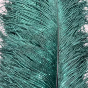 Decorative Ostrich Feathers (26-33cm) - Forest Green - Set of 5
