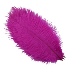 Decorative Ostrich Feathers (26-33cm) - Fuscia Pink - Set of 5