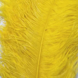 Decorative Ostrich Feathers (26-33cm) - Yellow - Set of 5