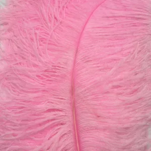 Decorative Ostrich Feathers (26-33cm) - Light Pink - Set of 5