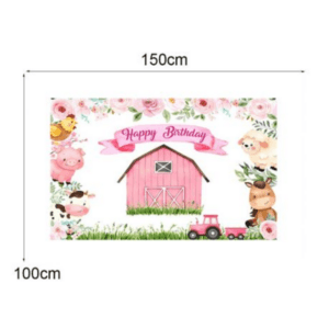 Small Kids Birthday Party Table and Photography Backdrop (Roses Farm Barn)