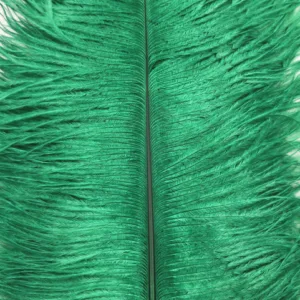 Decorative Ostrich Feathers (26-33cm) - Emerald Green - Set of 5