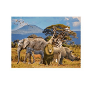 Kids Birthday Party Table and Photography Backdrop (Safari Animals Theme)