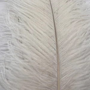 Decorative Ostrich Feathers (41-49cm) - White - Set of 5