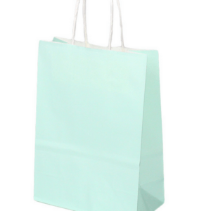 Plain Pastel Green Party Favor Bag (Set of 10)