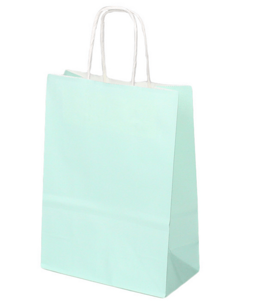 Plain Pastel Green Party Favor Bag (Set of 10), Plain Pastel Green Party Favor Bag (Set of 10)