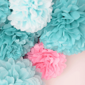 Pom Poms