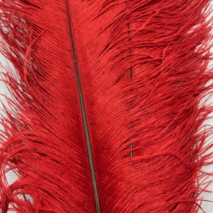 Decorative Ostrich Feathers (41-49cm) - Red - Set of 5
