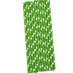 Green Paper Straws (12 Straws)
