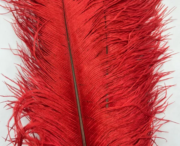 Decorative Ostrich Feathers (26-33cm) - Red - Set of 5, Decorative Ostrich Feathers (26-33cm) – Red – Set of 5