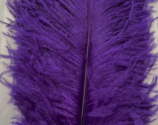 Decorative Ostrich Feathers (41-49cm) - Dark Purple - Set of 5, Decorative Ostrich Feathers (41-49cm) – Dark Purple – Set of 5