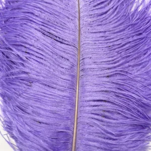 Decorative Ostrich Feathers (26-33cm) - Lilac - Set of 5