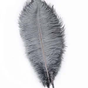 Decorative Ostrich Feathers (26-33cm) - Grey - Set of 5