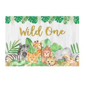 Small Kids Birthday Party Table and Photography Backdrop (Wild One)
