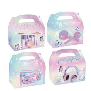 Party Favor Boxes - Taylor Swift Theme - 12 Boxes