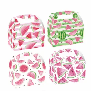Party Favor Boxes - Watermelon Theme (12 Boxes)