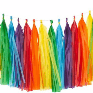 Rainbow Paper Tassels