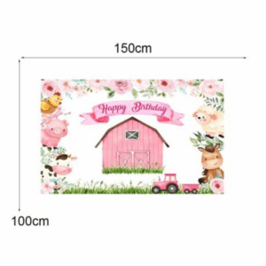 Small Kids Birthday Party Table and Photography Backdrop (Roses Farm Barn)