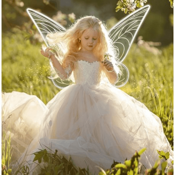 Iridescent Fairy Butterfly Wings, Iridescent Fairy Butterfly Wings