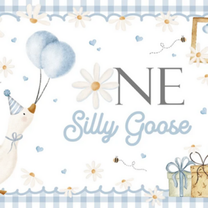 Small Kids Birthday Party Table and Photography Backdrop - Blue (One Silly Goose)