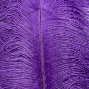 Decorative Ostrich Feathers (26-33cm) - Violet - Set of 5