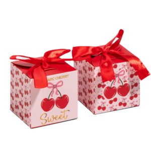 Small Party Favor Boxes - Cherry (12 Boxes)