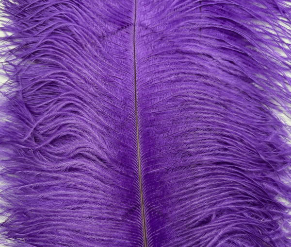 Decorative Ostrich Feathers (41-49cm) - Violet - Set of 5
