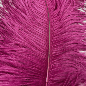 Decorative Ostrich Feathers (26-33cm) - Fuscia Pink - Set of 5