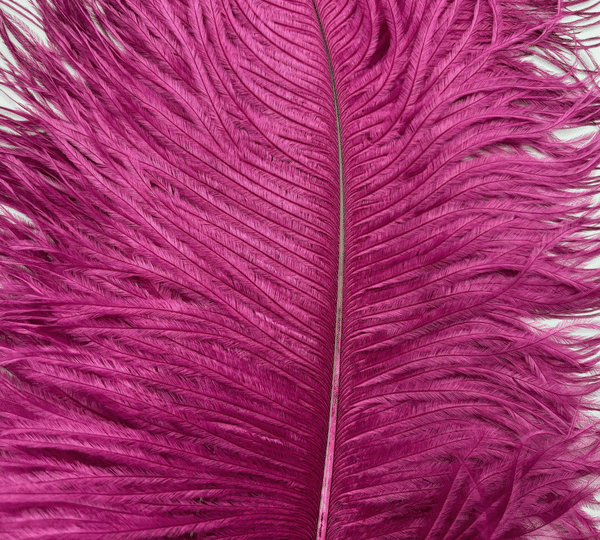Decorative Ostrich Feathers, Decorative Ostrich Feathers (26-33cm) – Fuscia Pink – Set of 5