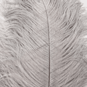 Decorative Ostrich Feathers (26-33cm) - Grey - Set of 5