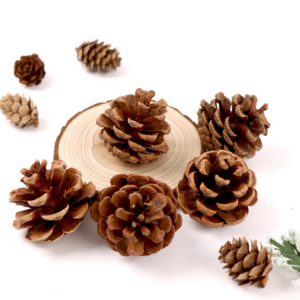 Small Pine Cone Décor - Set of 10